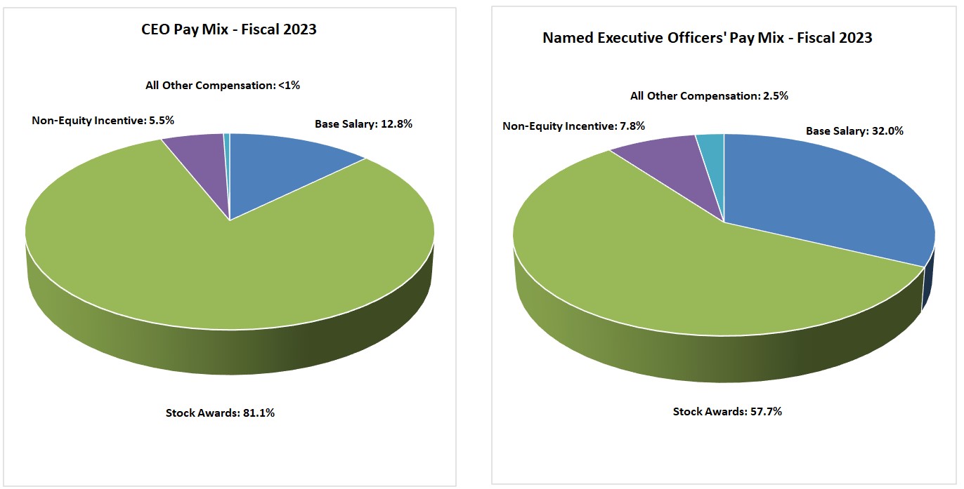 CEO and NEO Pay Mix Chart.jpg